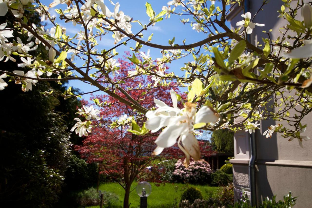 Villa Rosengarten フェーマルン エクステリア 写真